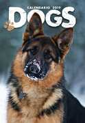 Cartoleria Calendario 2019 Cani My Time
