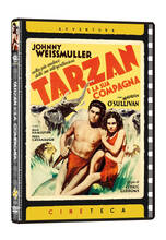 Film Tarzan e la sua compagna (Cineteca Avventura) (DVD) Cedric Gibbons