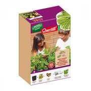 Giocattolo Kit for Kids Fagiolino Quercetti