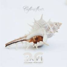 CD Café del mar vol.26