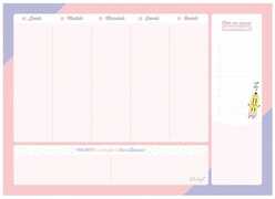 Cartoleria Planner settimanale per rendere ogni giornata eccezionale Mr Wonderful Mr Wonderful