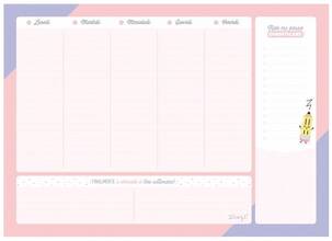 Cartoleria Planner settimanale per rendere ogni giornata eccezionale Mr Wonderful Mr Wonderful