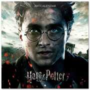 Cartoleria Calendario 2019 Harry Potter - 30x30 Erik