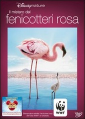 Copertina  Il mistero dei fenicotteri rosa