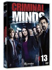Film Criminal Minds. Stagione 13. Serie TV ita (5 DVD) Glenn Kershaw Félix Enríquez Alcalá Douglas Aarniokoski