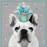 Cartoleria Biglietto compleanno 3D A Splash of Colour azzurro. Cane Panini