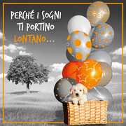 Cartoleria Biglietto d'auguri 3D A Splash of Colour generico. Palloncini Panini