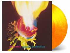 Vinile Against Perfection Adorable