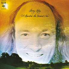 Vinile A Rainbow in a Curved Air (Transparent Vinyl) Terry Riley