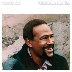 Vinile Dream Of A Lifetime (Limited Transparent Blue Vinyl) Marvin Gaye