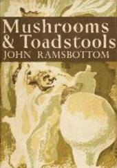 Mushrooms and Toadstools