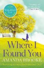 Libro in inglese Where I Found You Amanda Brooke