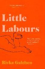 Libro in inglese Little Labours Rivka Galchen