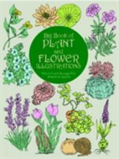 Libro in inglese Big Book of Plant and Flower Illustrations Maggie Kate