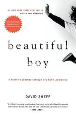 Libro in inglese Beautiful Boy: A Father's Journey Through His Son's Addiction David Sheff