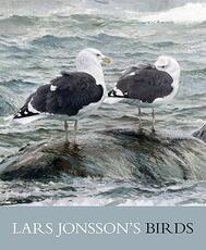 Libro in inglese Lars Jonsson's Birds: Paintings from a Near Horizon Lars Jonsson