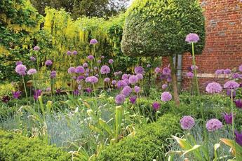 Libro in inglese The The RHS Companion to Scented Plants