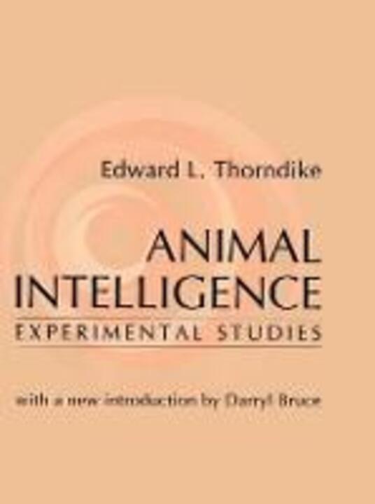 animal intelligence experimental studies