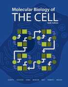 Libro in inglese Molecular Biology of the Cell Bruce Alberts