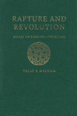 Rapture and revolution essays on turkish literature 06 picture