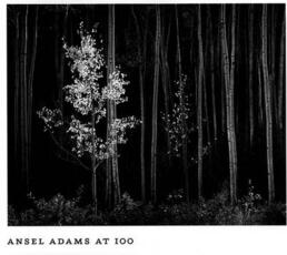 Libro in inglese Ansel Adams at 100 John Szarkowski Ansel Adams