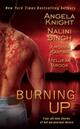 Burning Up