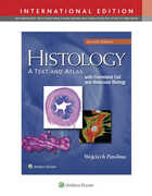 Libro in inglese Histology: A Text and Atlas: With Correlated Cell and Molecular Biology Michael H. Ross Wojciech Pawlina