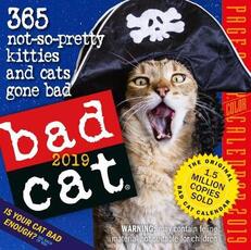 Libro in inglese 2019 Bad Cat Colour Page-A-Day Calendar Workman Publishing