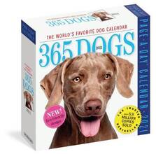 Libro in inglese 2021 365 Dogs Colour Page-A-Day Calendar Workman Calendars