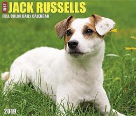 Libro in inglese Just Jack Russells 2019 Box Calendar (Dog Breed Calendar) Willow Creek Press