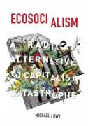 Libro in inglese Ecosocialism: A Radical Alternative to Capitalist Catastrophe Michael Lowy