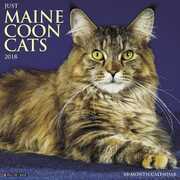 Libro in inglese Just Maine Coon Cats 2018 Wall Calendar Willow Creek Press