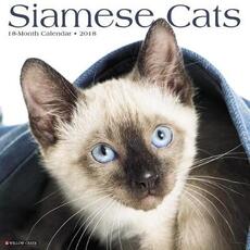 Libro in inglese Siamese Cats 2018 Wall Calendar Willow Creek Press