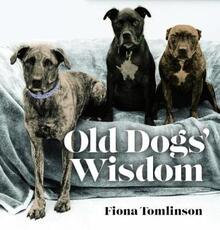Libro in inglese Old Dog Wisdom Fiona Tomlinson