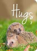 Libro in inglese Hugs: A Photographic Celebration of the Cutest Animal Couples Ella Earle
