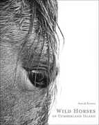 Libro in inglese Wild Horses of Cumberland Island Anouk Masson Krantz