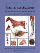 Libro in inglese Functional Anatomy Chris Colles