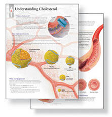 Libro in inglese Understanding Cholesterol Study Set Replacement Pads: Patient Education Study Sets Scientific Publishing