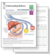 Libro in inglese Understanding Diabetes Study Set Replacement Pads: Patient Education Study Sets Scientific Publishing