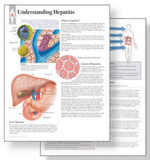 Libro in inglese Understanding Hepatitis Study Set Replacement Pads: Patient Education Study Sets Scientific Publishing