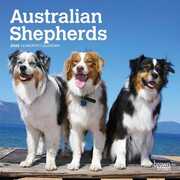Libro in inglese Australian Shepherds 2020 Mini 7x7 Inc Browntrout Publishers