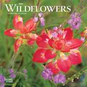 Libro in inglese Wildflowers 2020 Mini 7x7 Inc Browntrout Publishers