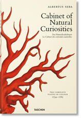 Libro in inglese Seba. Cabinet of Natural Curiosities Irmgard Musch Jes Rust Rainer Willmann