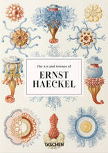 Libro in inglese The Art and Science of Ernst Haeckel. 40th Anniversary Edition Rainer Willmann Julia Voss