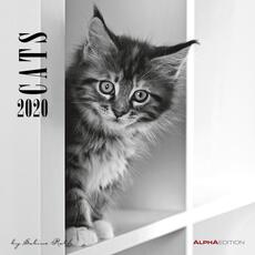 Cartoleria Calendario da parete 2020 Gatti di Sabine Rath Alpha Edition - 30x30 Alpha Edition