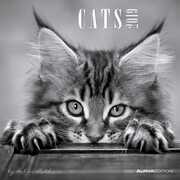 Cartoleria Calendario 2019 Alpha Edition 30 x 30 cm. Gatti. Cats by Sabine Rath Alpha Edition