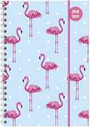 Cartoleria Diario settimanale 2018-2019 con spirale Alpha Edition Collegetimer A5. Fenicottero. Flamingo Alpha Edition