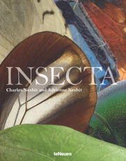 Libro in inglese Insecta