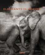 Libro in inglese Elephants in Heaven