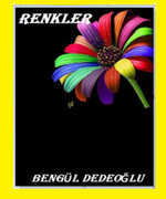 Immagine di ebook/